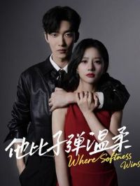 �����ӵ�����